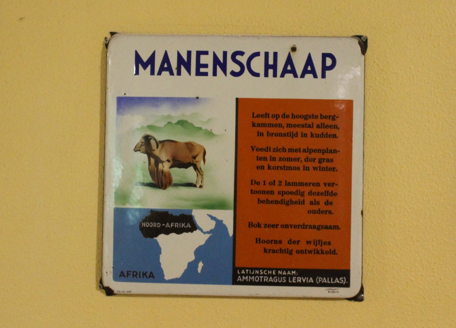 Old sign Barbary sheep