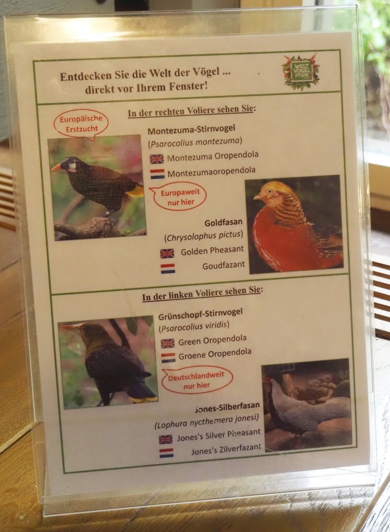 Old sign for Oropendolas in the Rosencafé, 2024-05-22