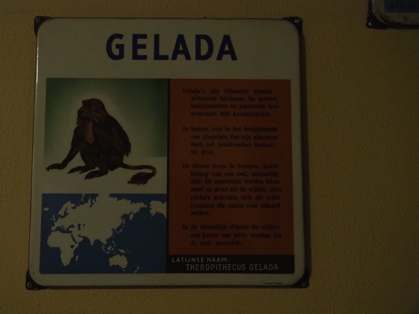 Old sign Gelada (Nov 10th, 2018)