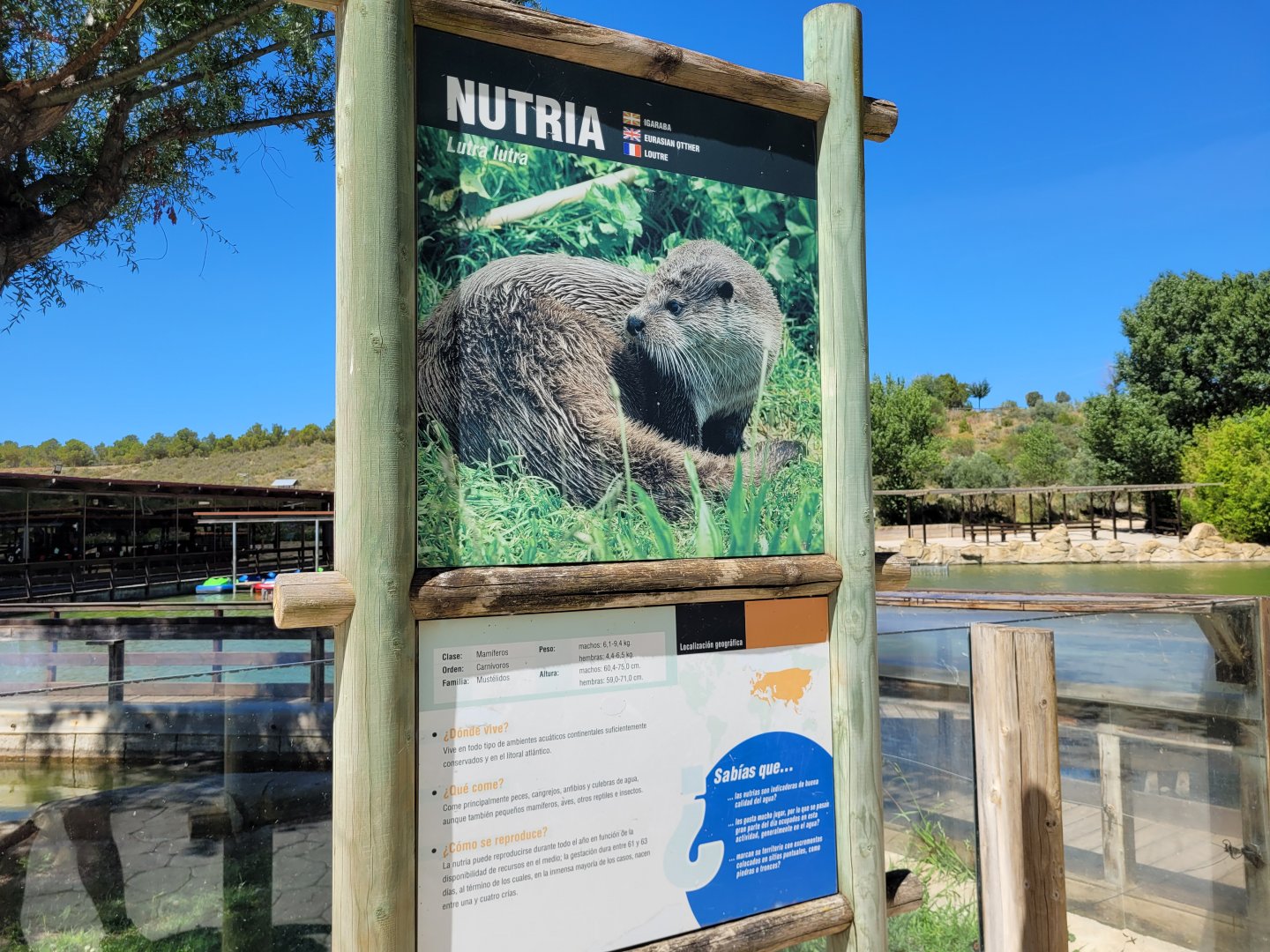 Old sign style -Sendaviva (2024)