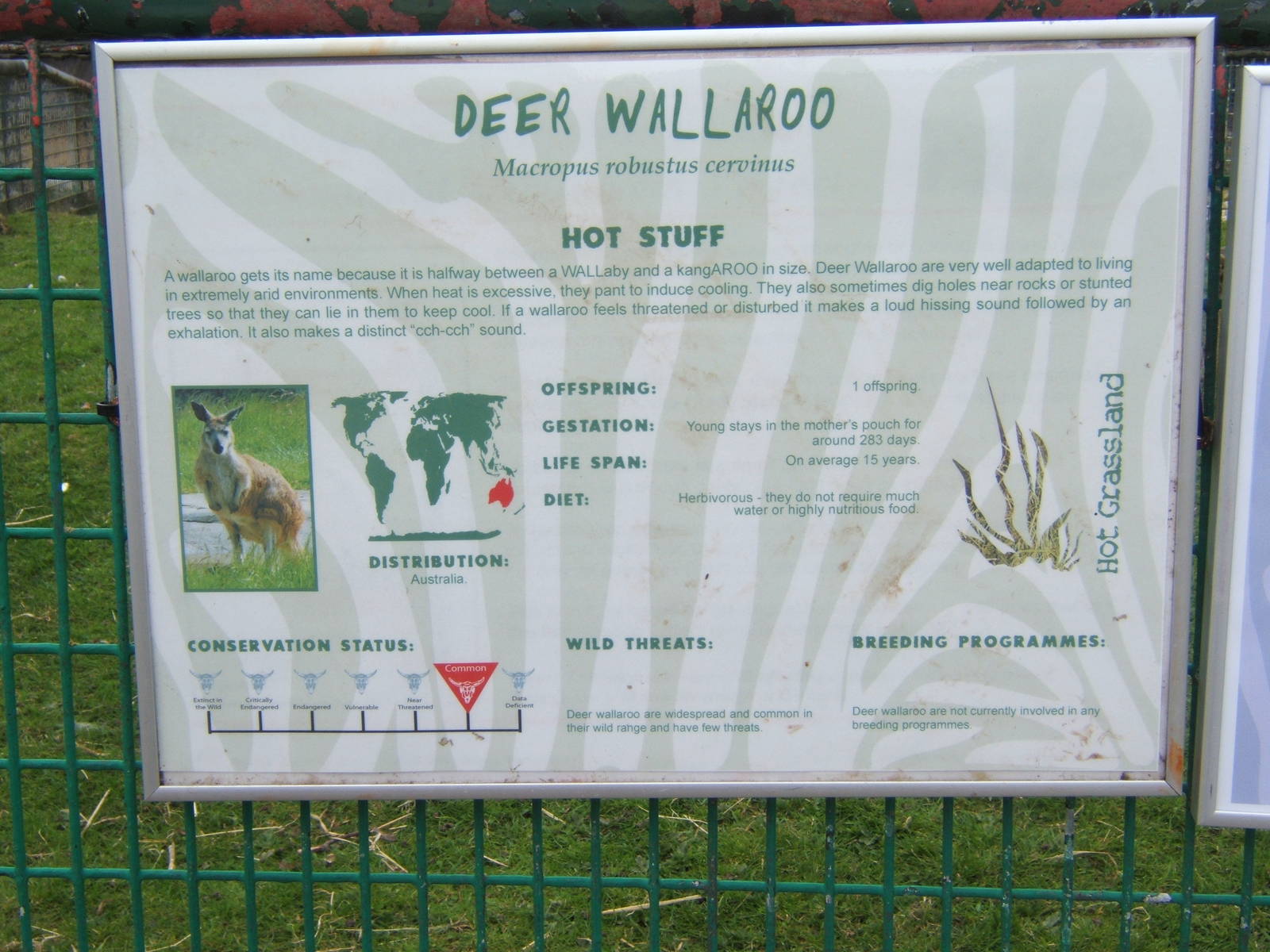 Old sign that was on view because the one covering it had fallen off