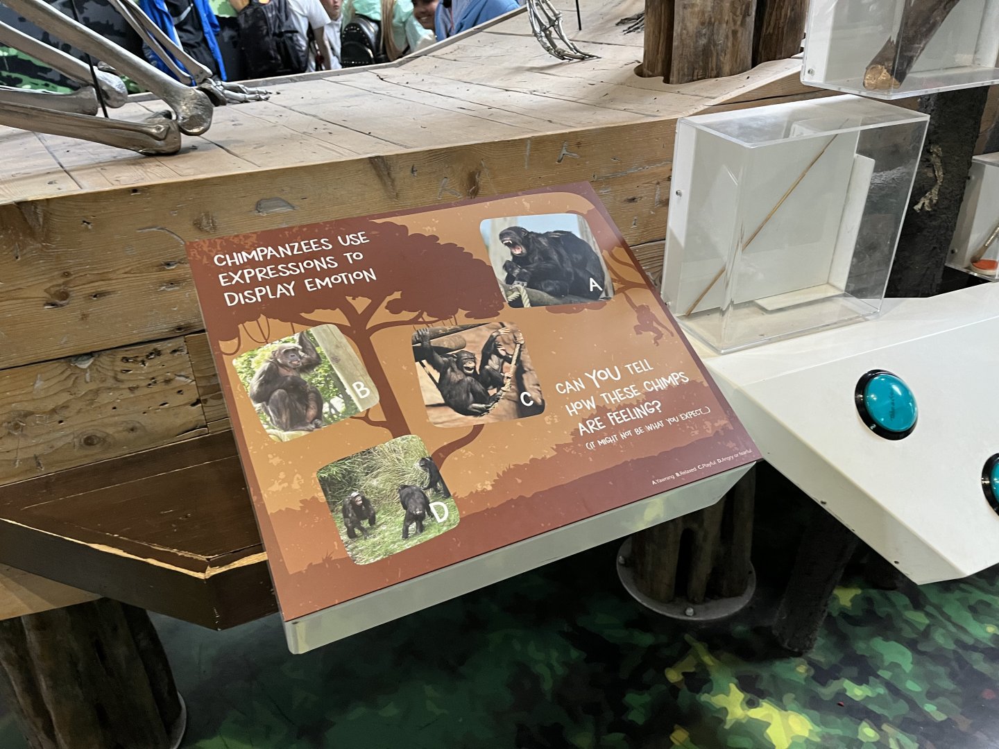 Old signage covered over by new signage 18.7.24