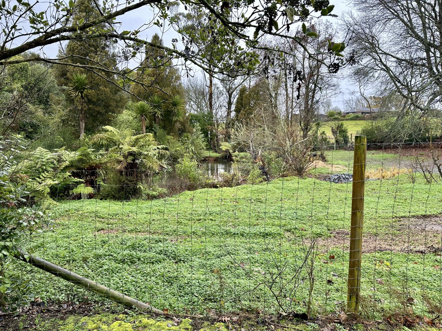Old Sitatunga Exhibit