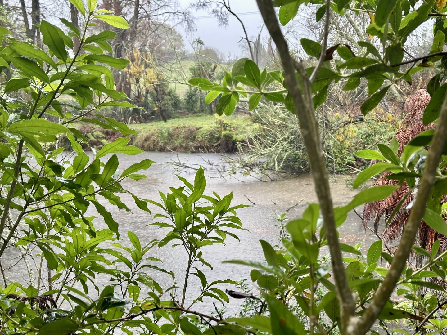 Old Sitatunga Exhibit