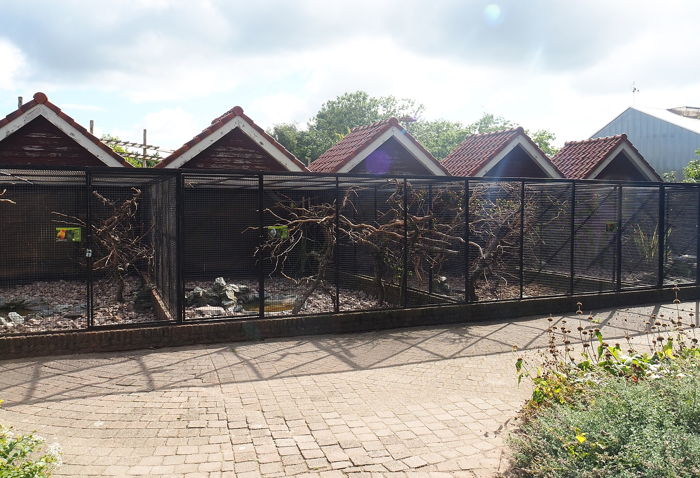 Old small and medium parrot aviaries, 2022-08-28