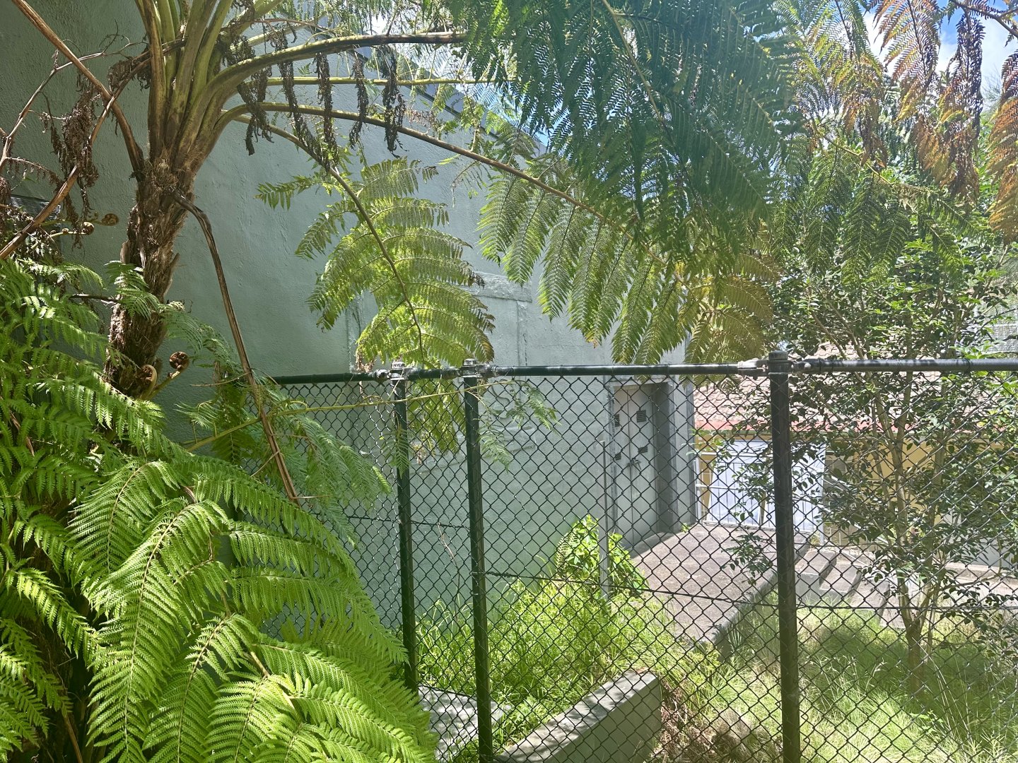 Old Small Cats Building (Tasmanian Devil Building)