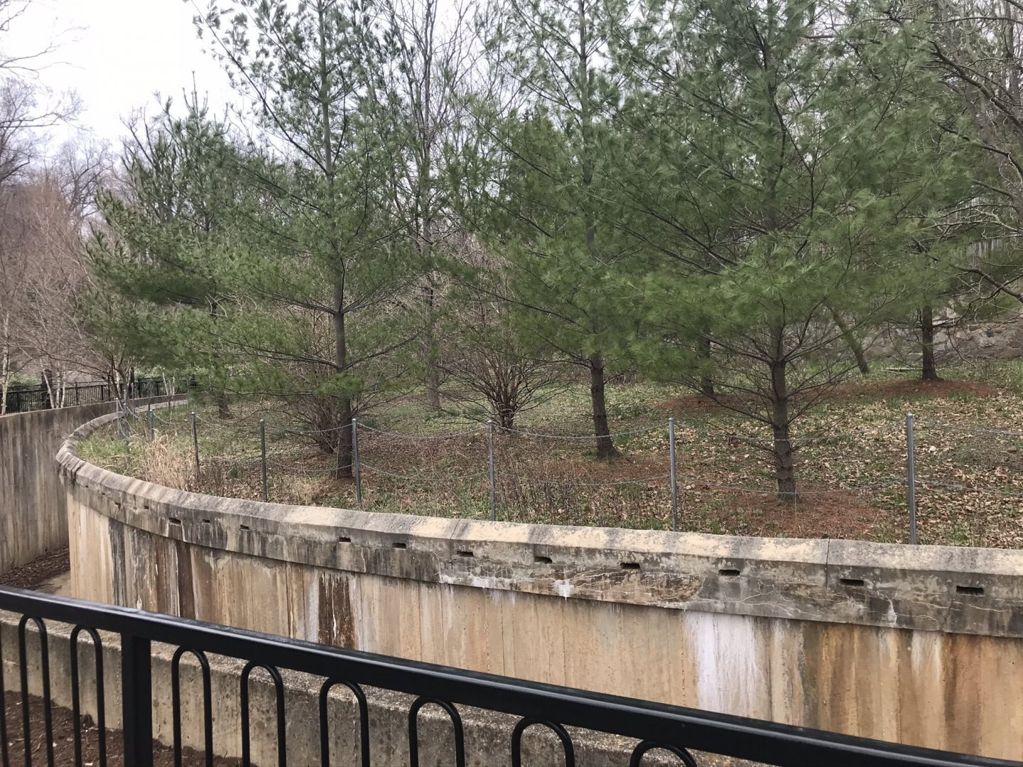 Old Smokey Bear Habitat