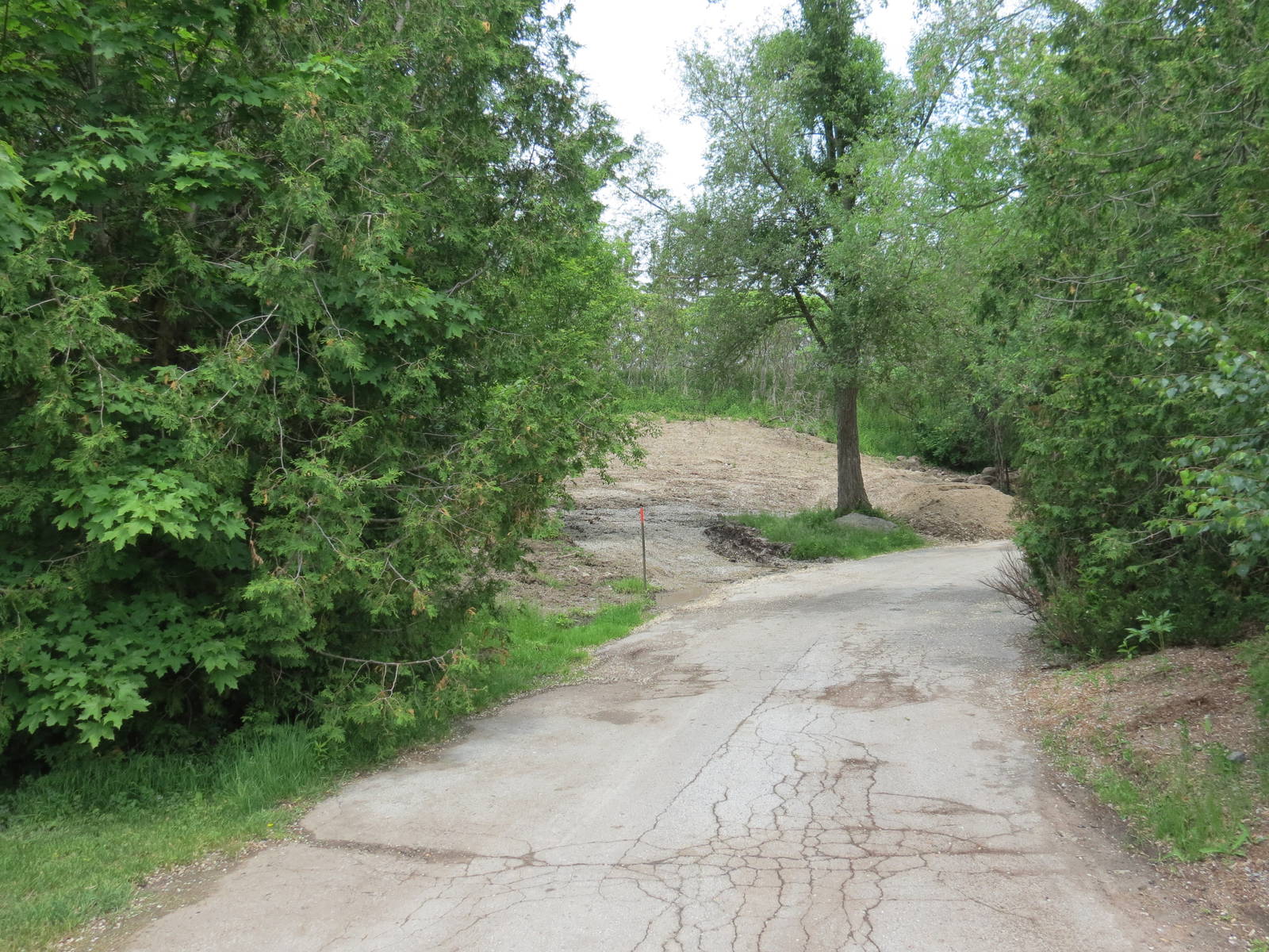 Old Snow Leopard exhibit