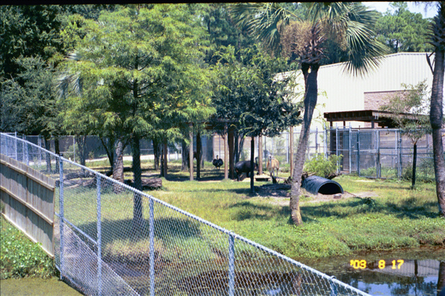 Old South American Field Exhibit
