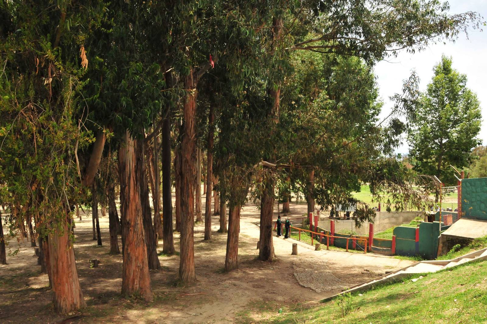 Old Speckled bear complex