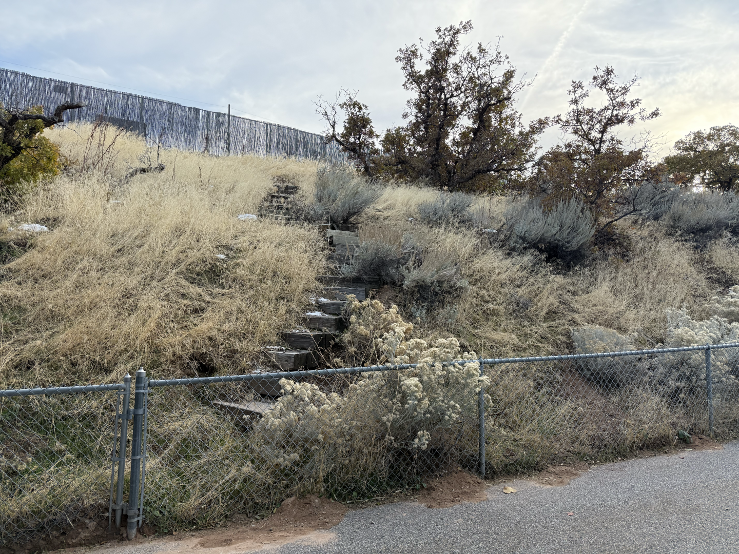 Old Stairs to Former Picnic Area - South Hill