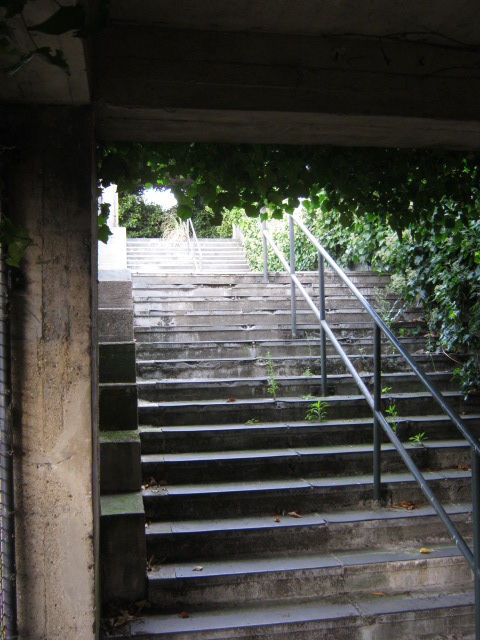 old stairway to Mappins Polar Bear exhibit.