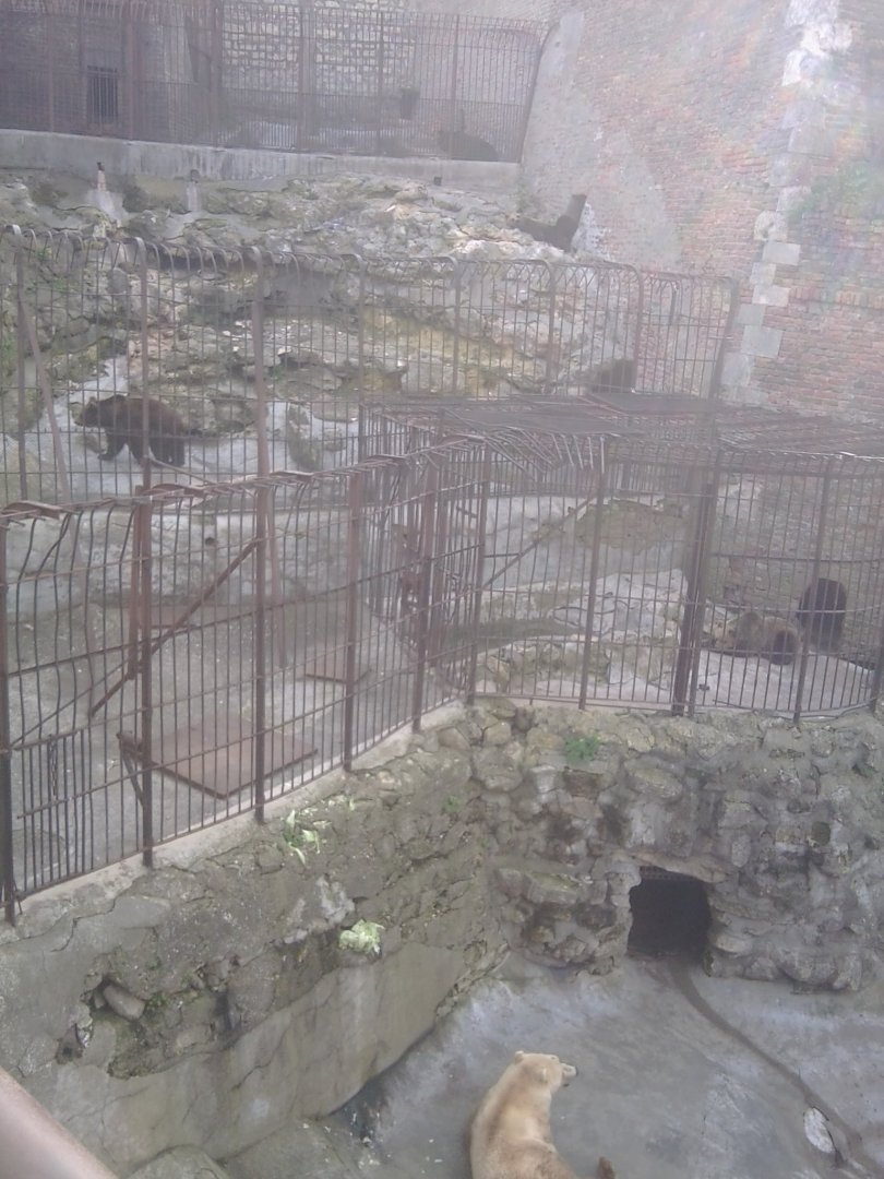 Old, still functioning bear complex (3 species of bears)