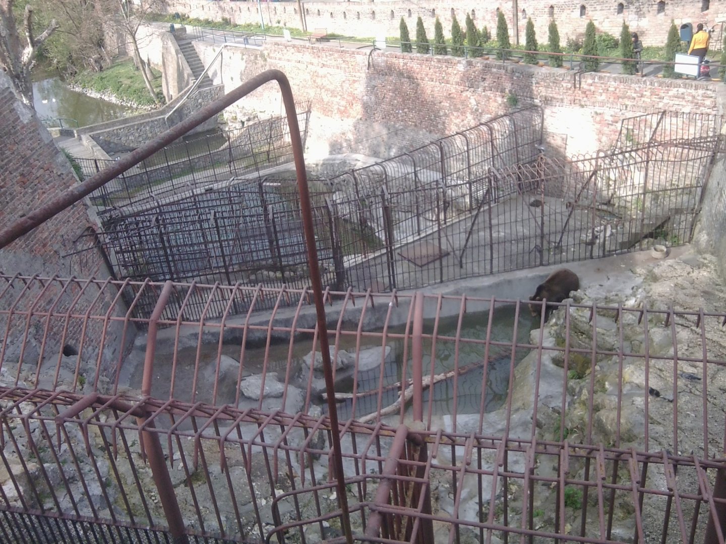 Old, still functioning bear complex (3 species of bears)