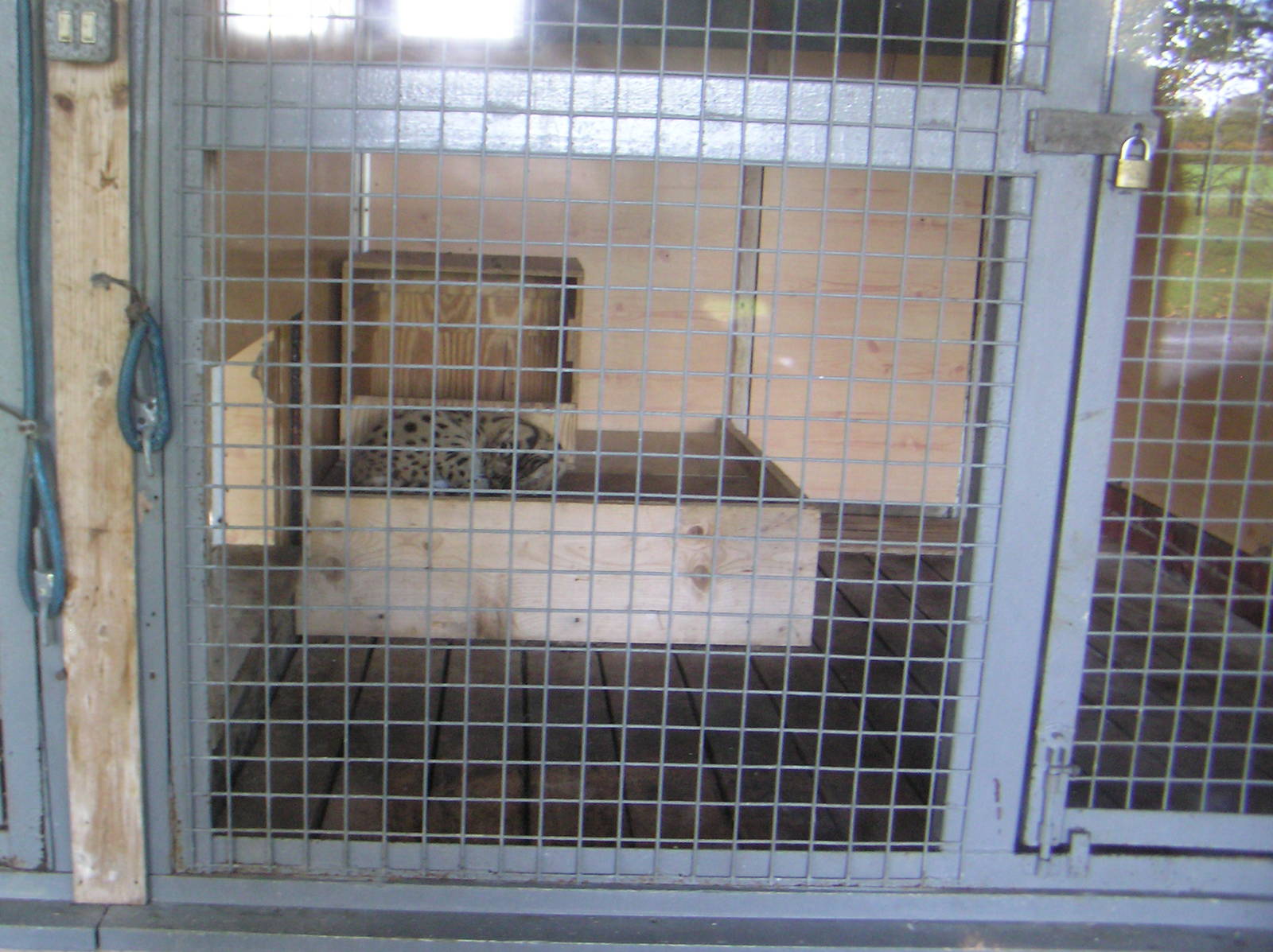 Old-Style Cat Housing