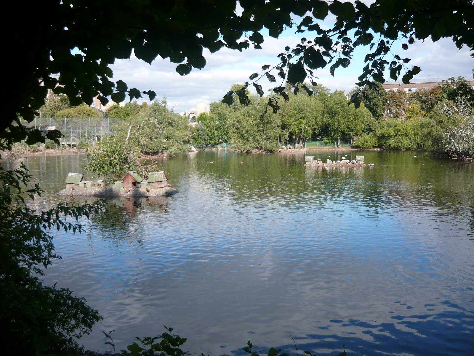 Old Territory large pond
