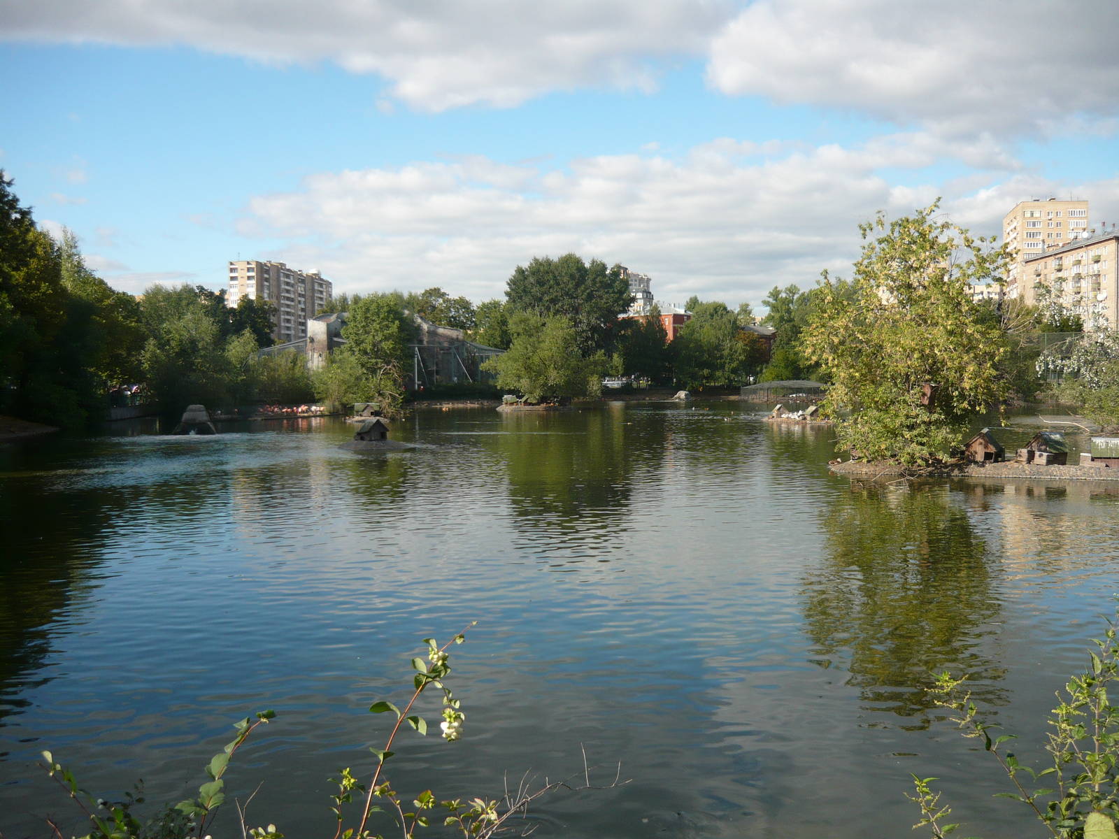 Old Territory large pond