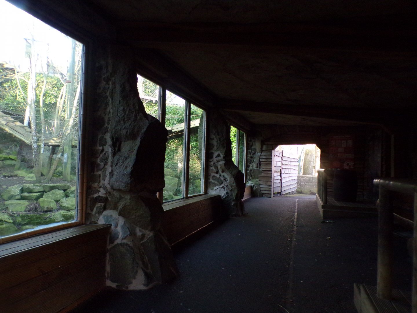 Old tiger viewing area 1.3.25