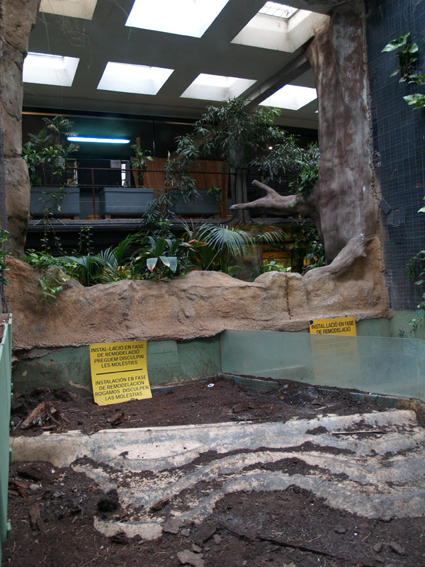 Old tortoises enclosure - Terrarium
