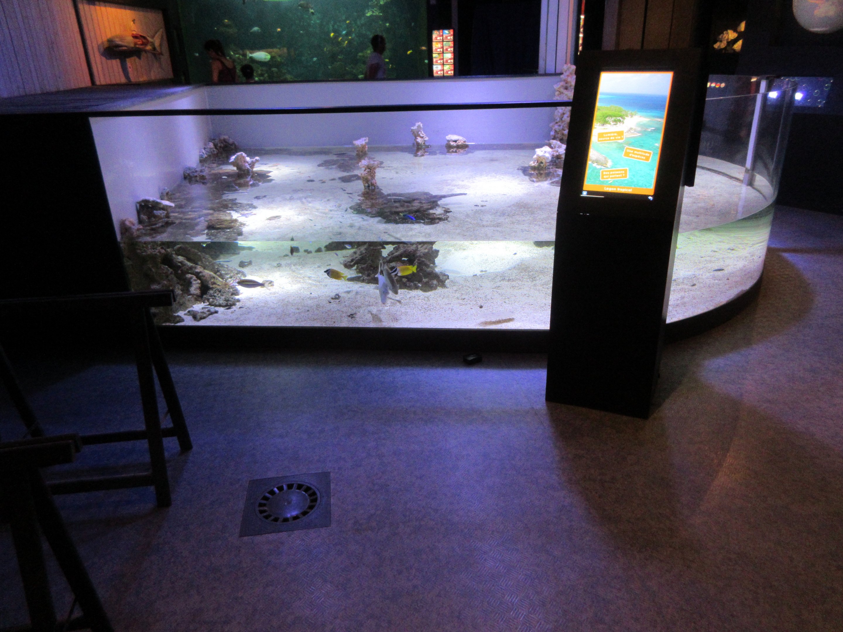 Old Touch Tank (now with water lowered)