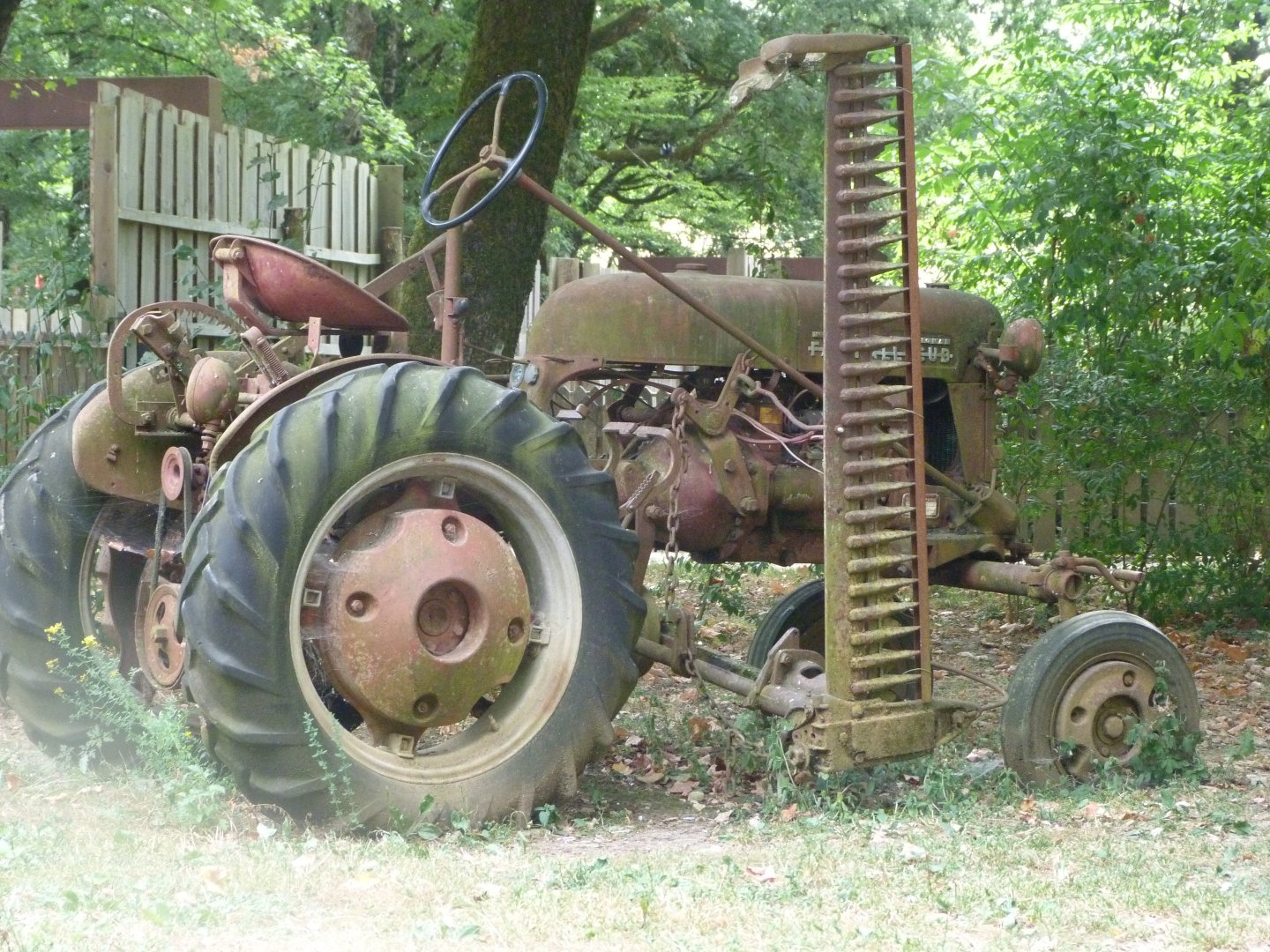 Old tractor -Zoodyssée (2025)