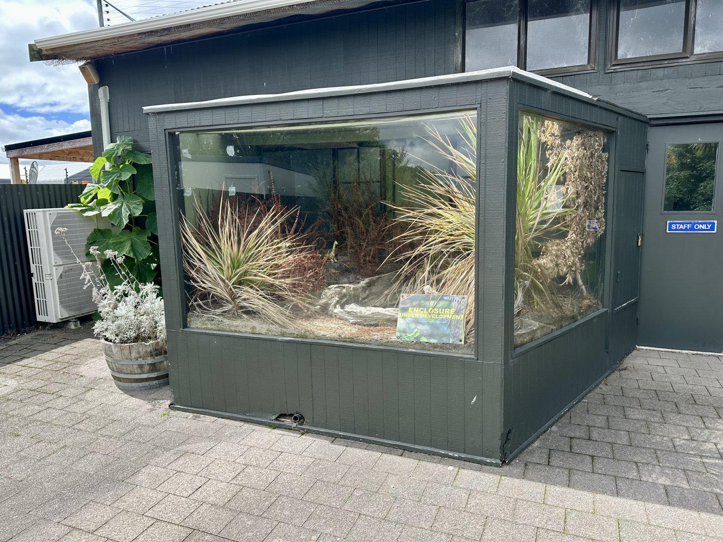 Old Tuatara Exhibit (Under Development)