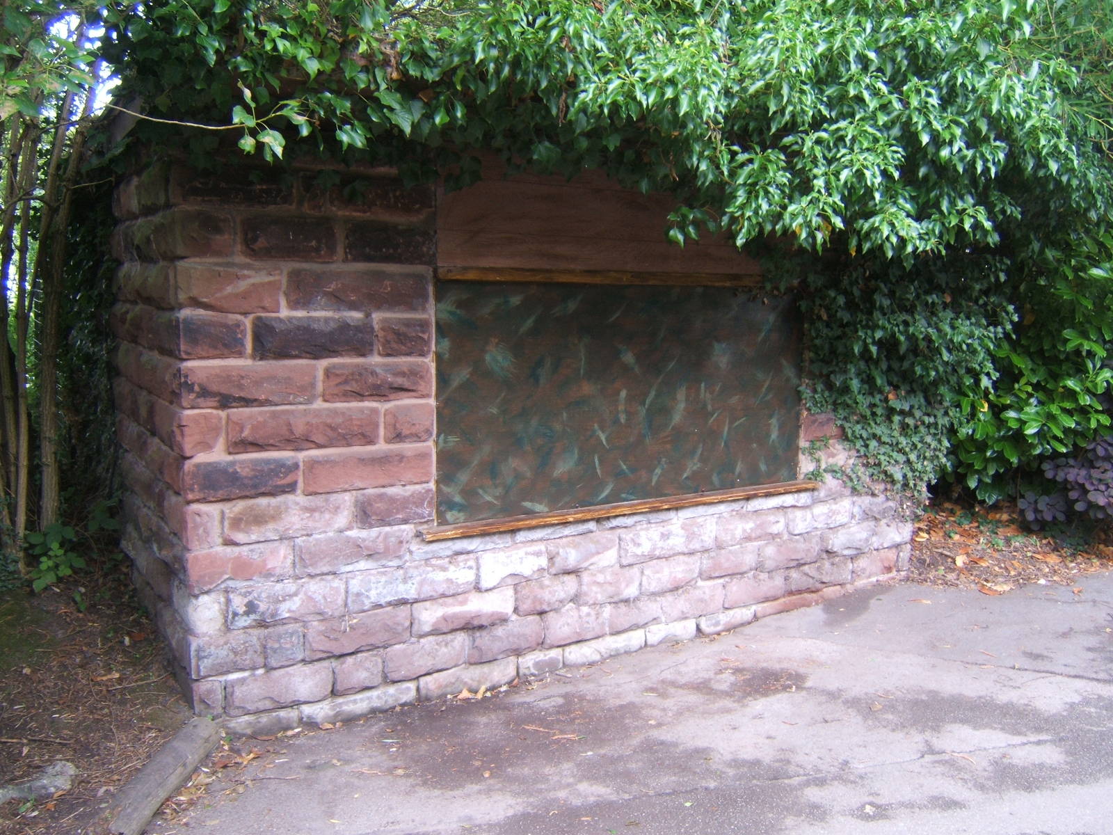 Old Tuatara House now boarded up