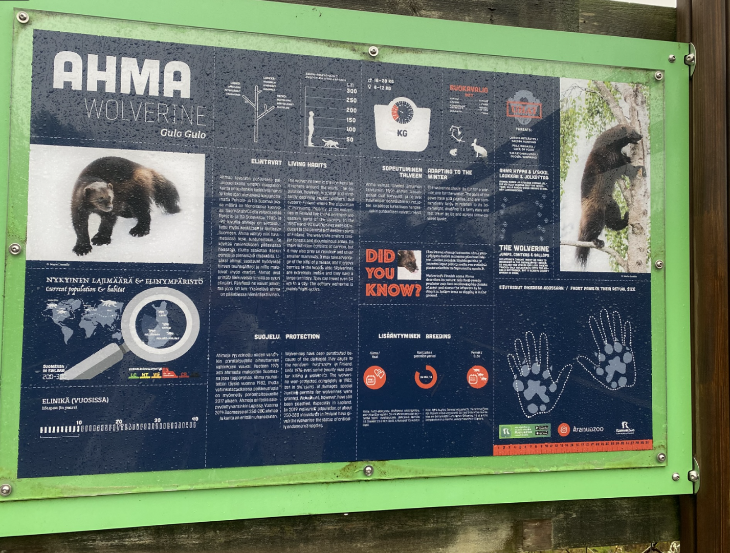 Old-type species info sign at Ranua Wildlife Park