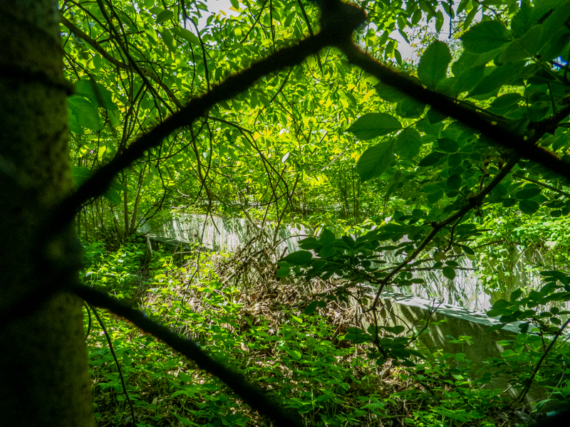 old unknown enclosure (next to lions)