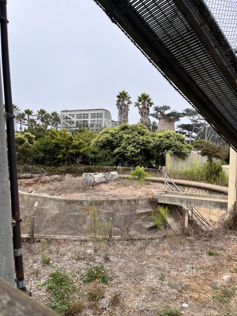 old unused ape habitat