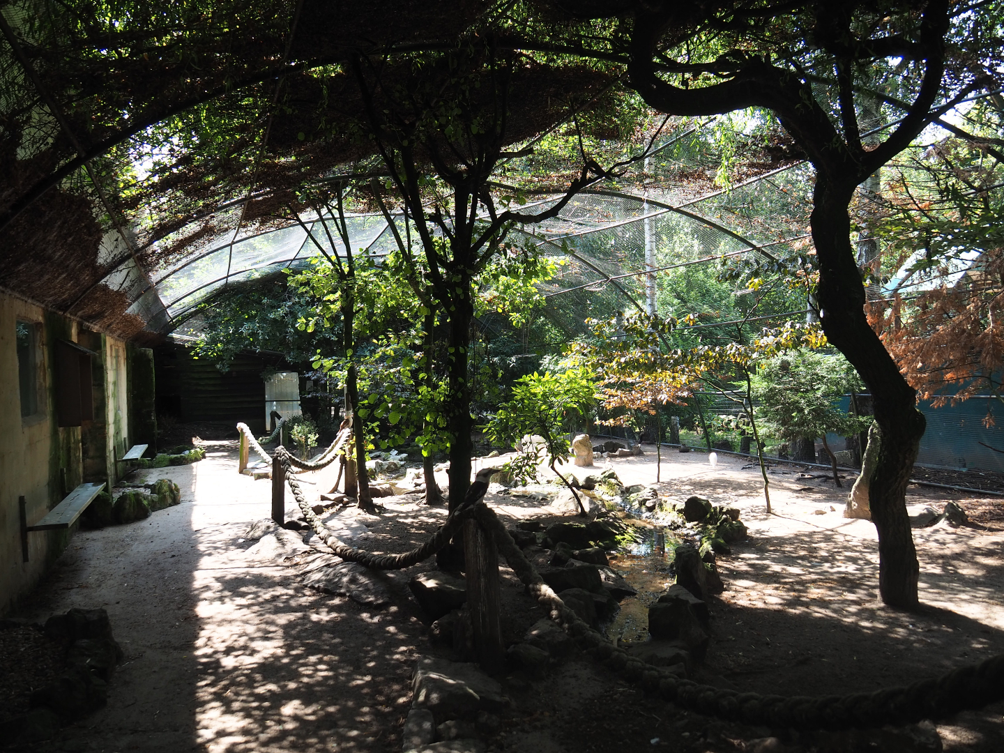 Old walk-through aviary, 2019-08-04