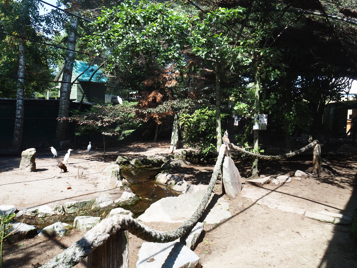 Old walk-through aviary, 2019-08-04