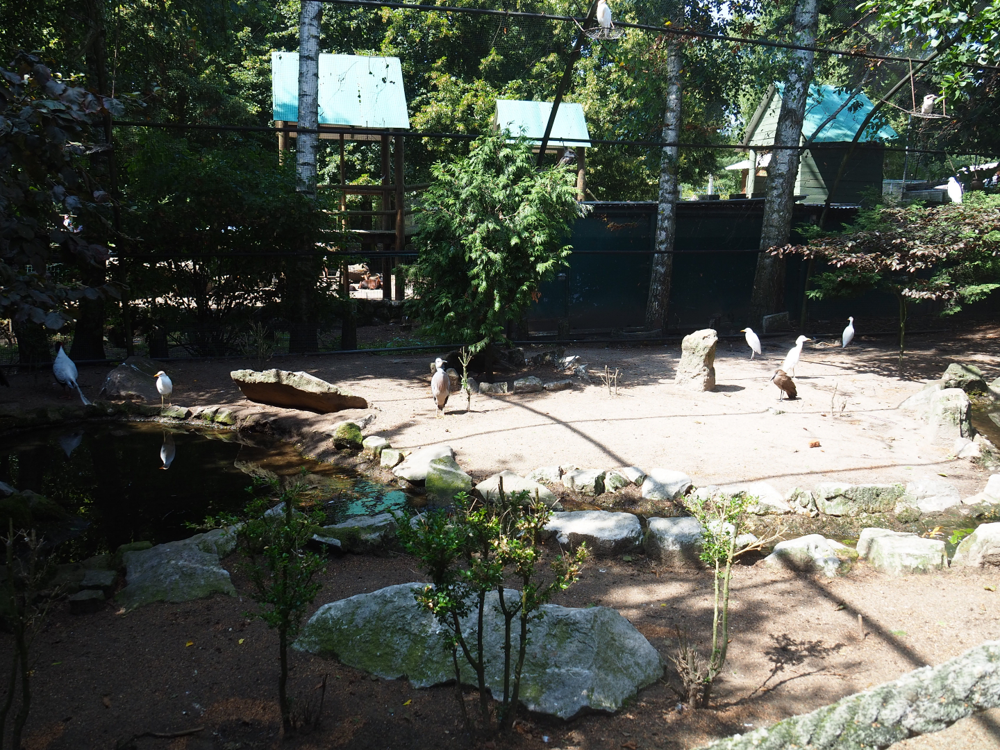 Old walk-through aviary, 2019-08-04
