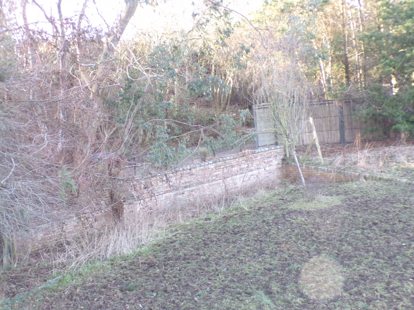 Old wall in zebra enclosure 1.3.25