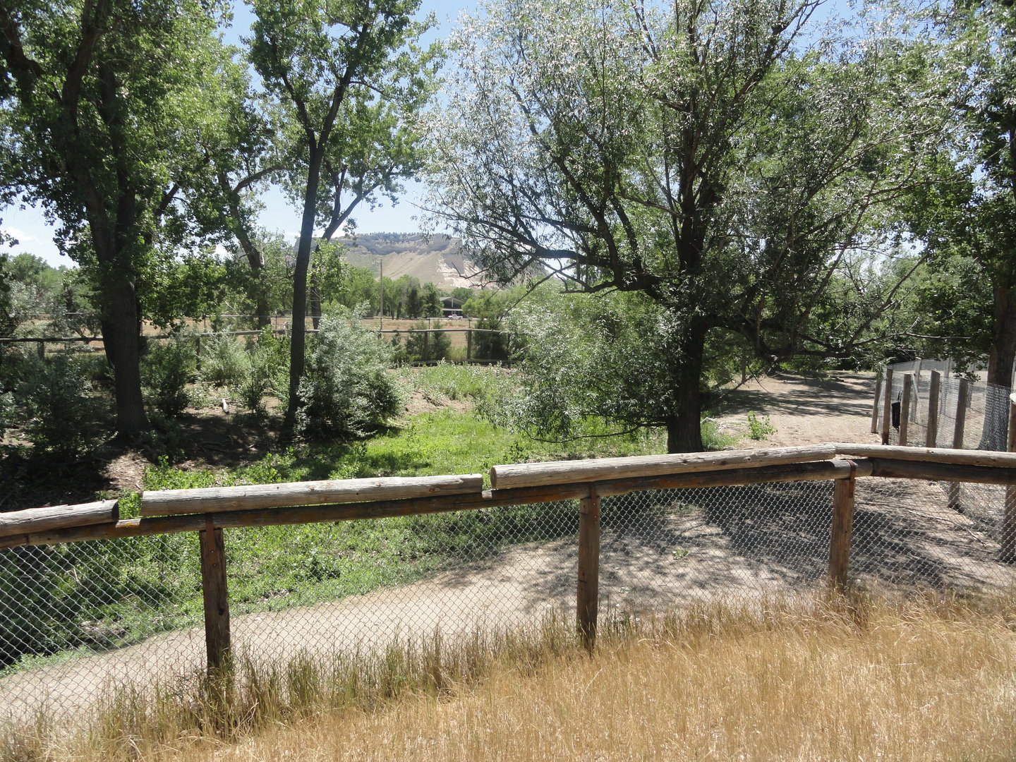 Old Waterbuck Yard - Going to be added to Plains Zebra Exhibit