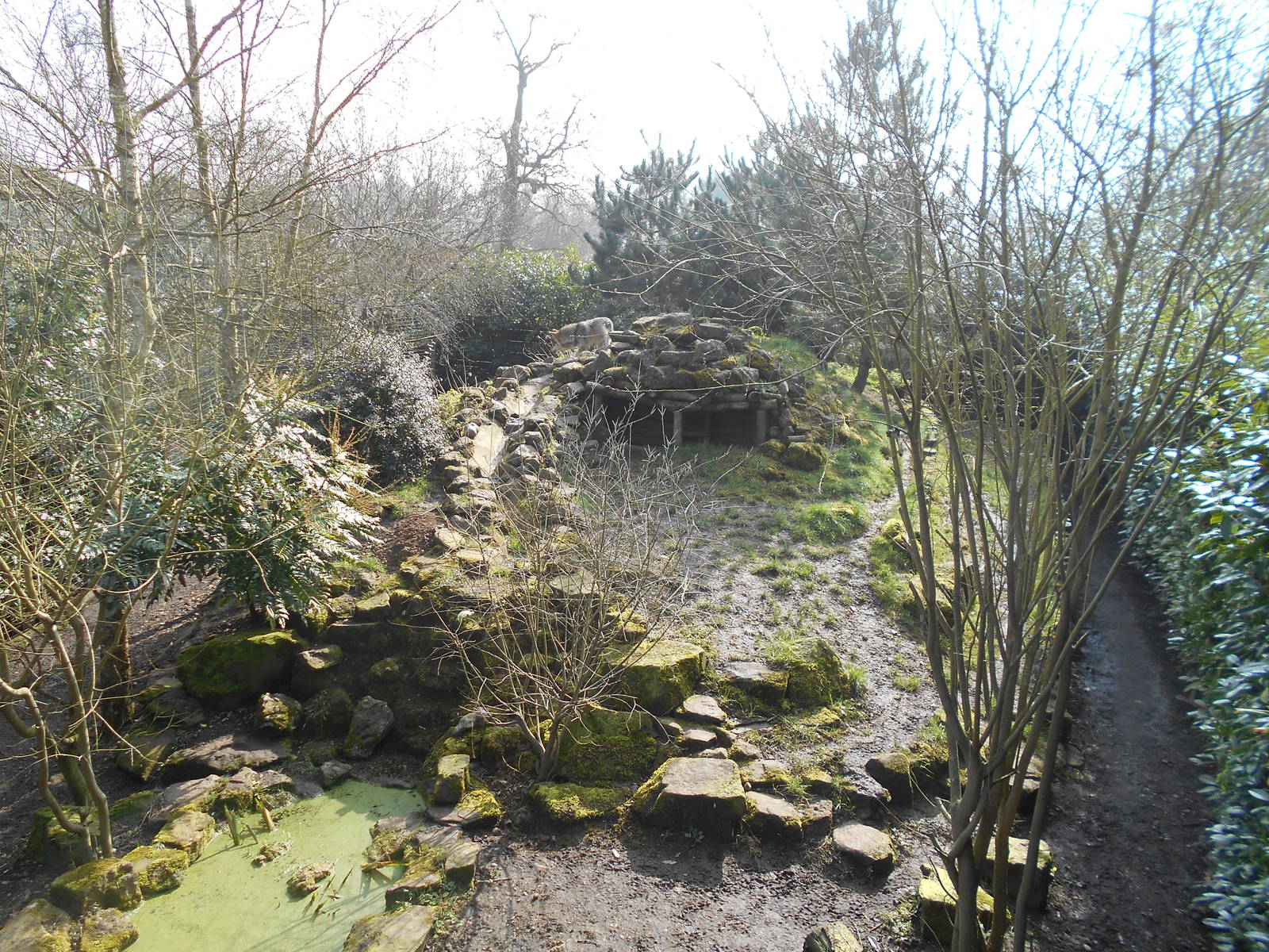 Old Wolf Enclosure - March 11th 2016