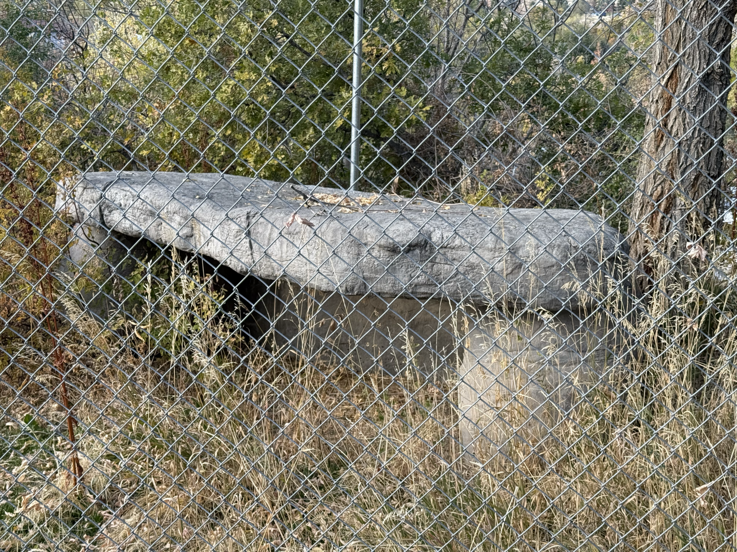 Old Wolf Exhibit Structure - South Hill