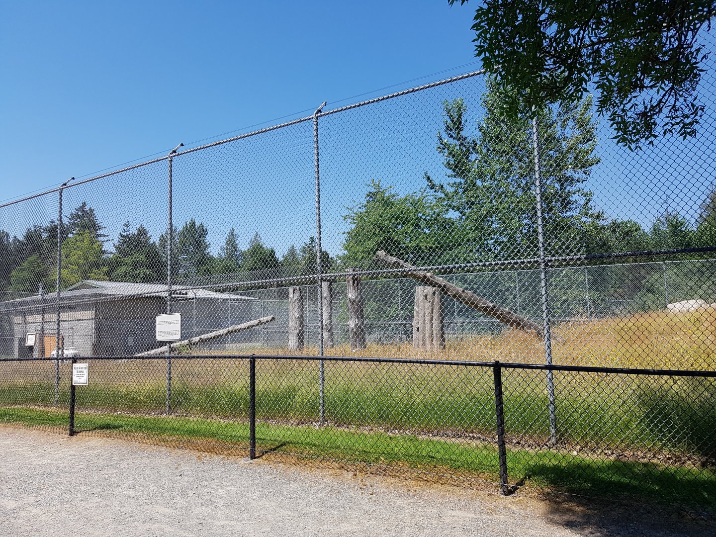 Old Yellow Baboon Exhibit
