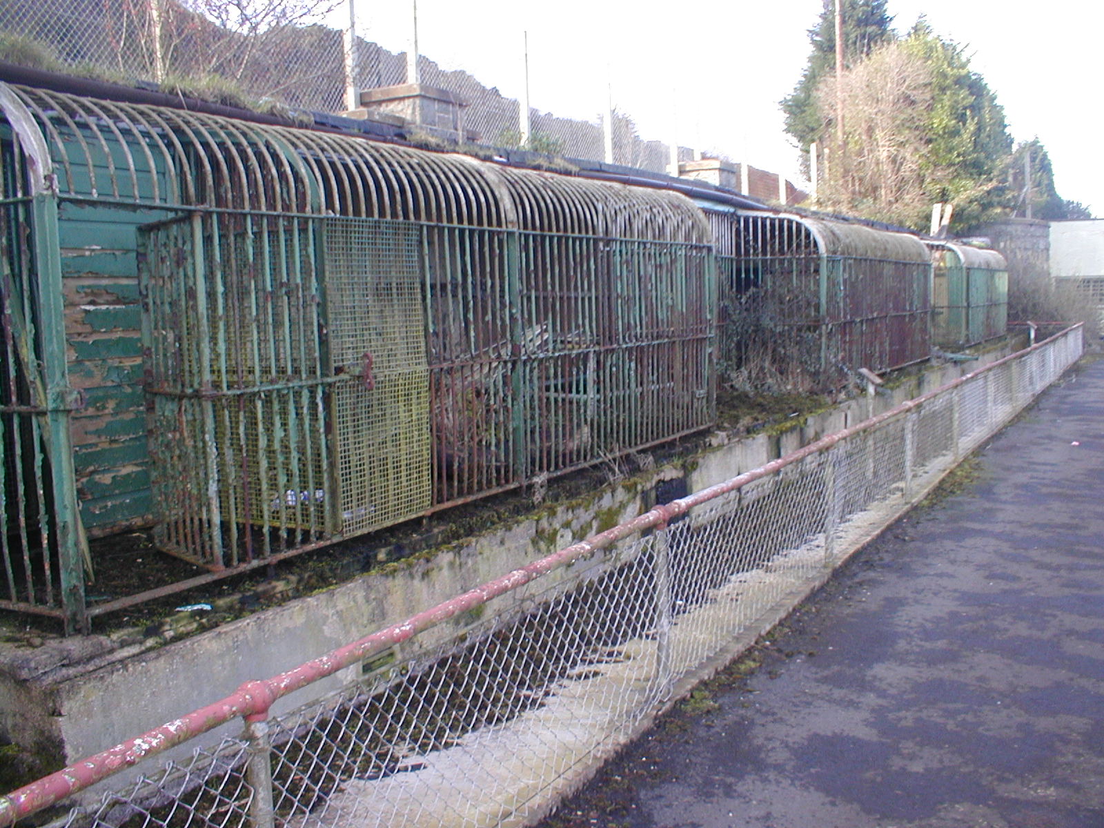 old zoo and projects 051