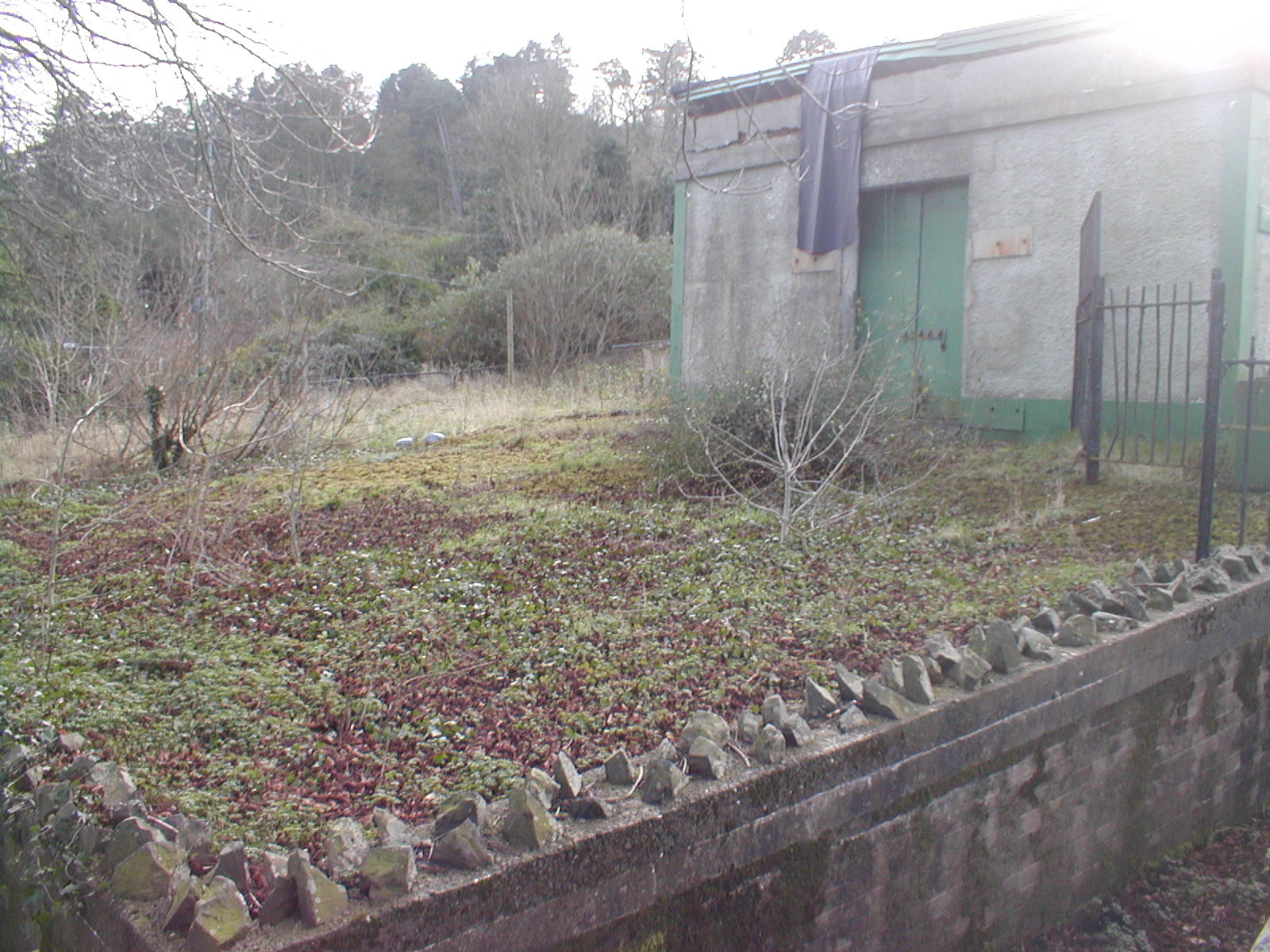 old zoo and projects 135