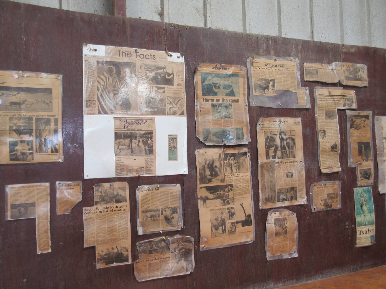 Old Zoo Newspaper Articles