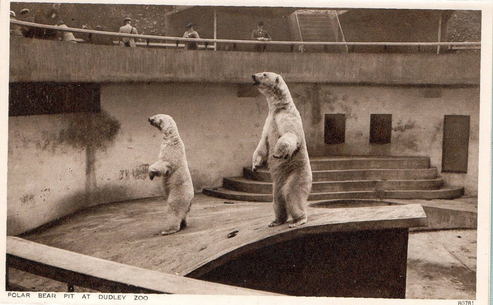 OLD ZOO POLAR BEAR PIT BEFORE 1950