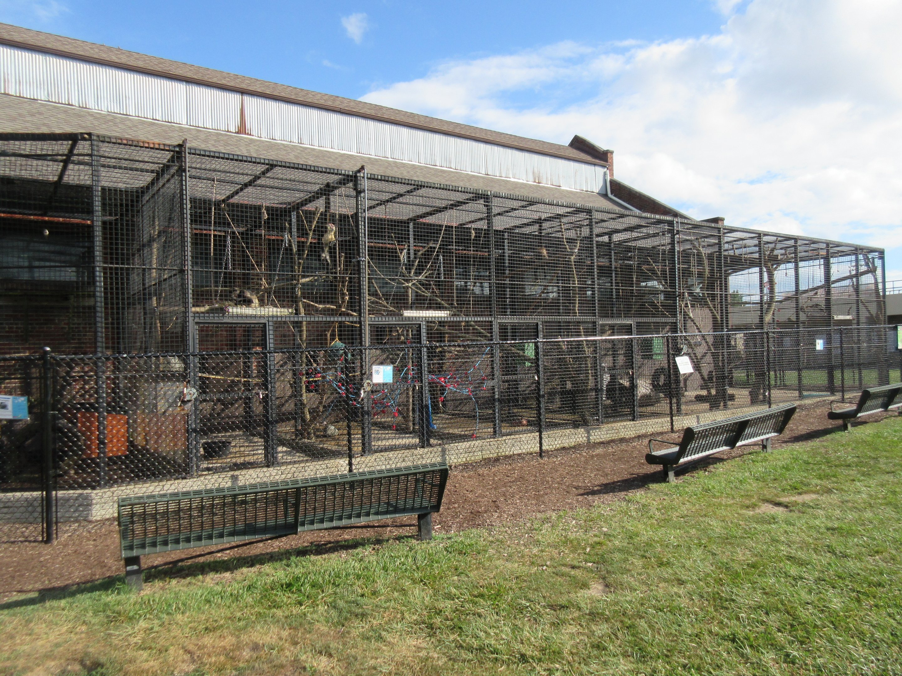 Older Exhibits (3 Species)