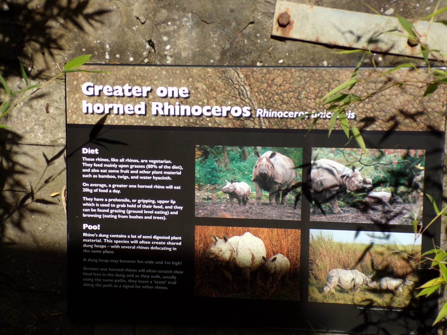 Older Indian rhinoceros signage 14.8.23