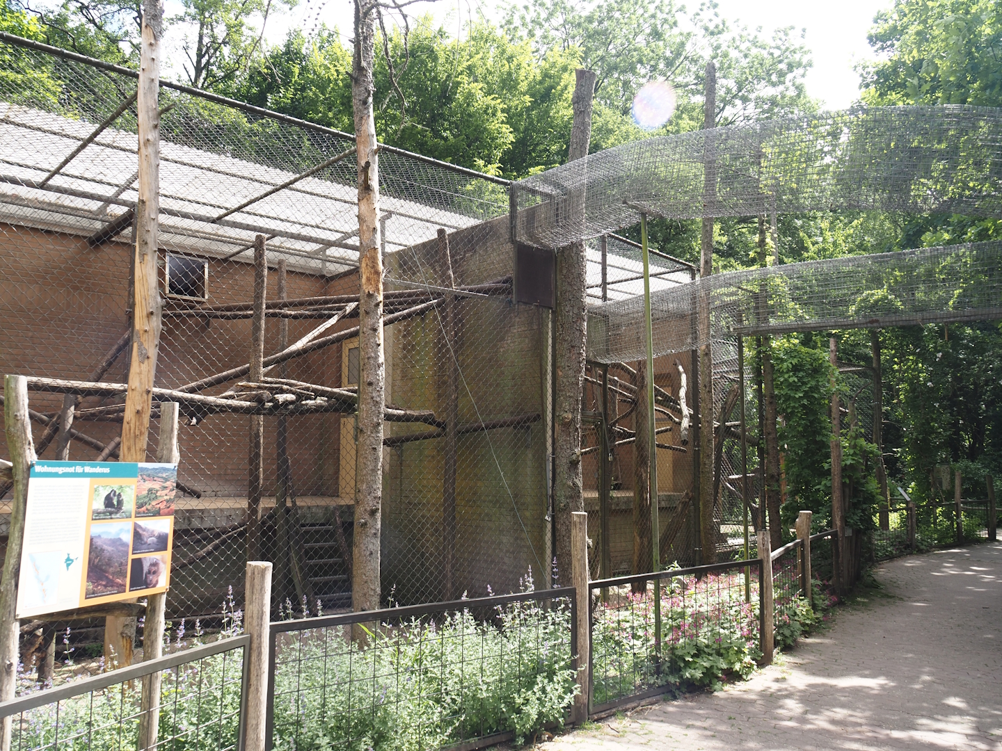 Older Lion-tailed macaque exhibits, with tunnels to larger outdoor exhibits, 2025-05-22