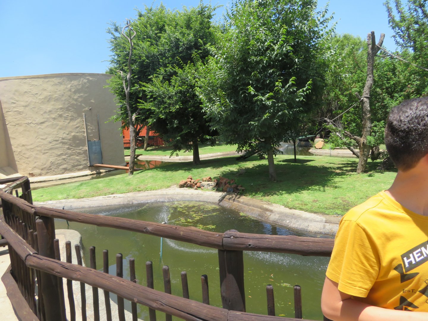 Older photos of Common squirrel monkey enclosure (Saimiri sciureus)