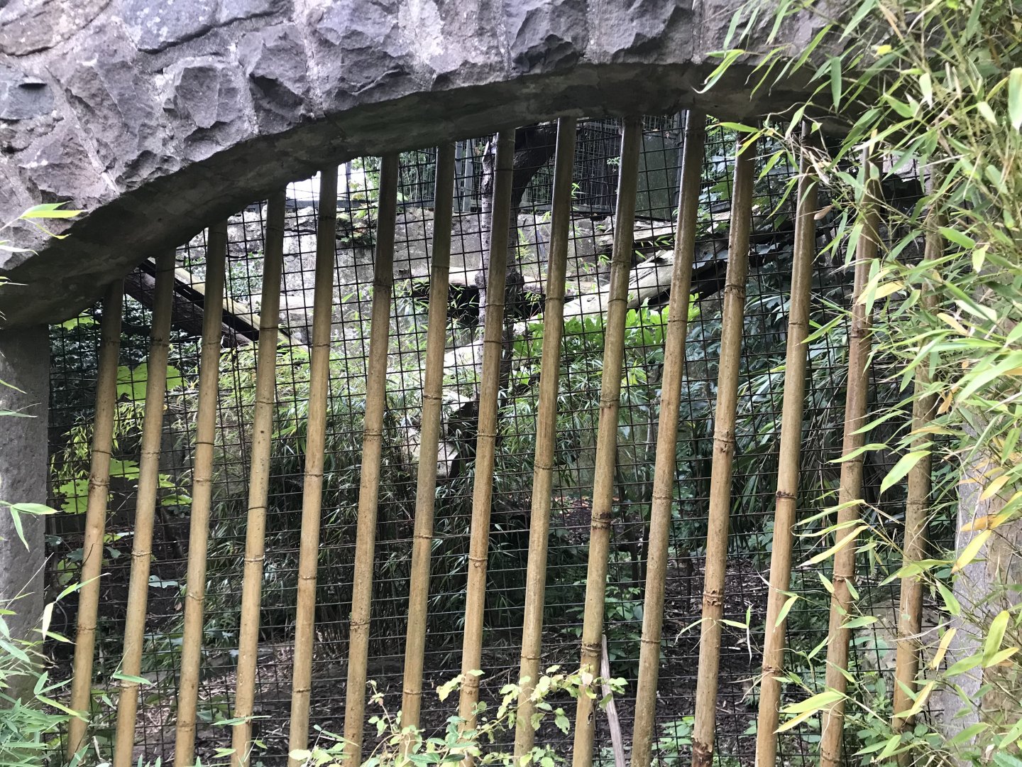 OlderSumatran tiger enclosure (2)