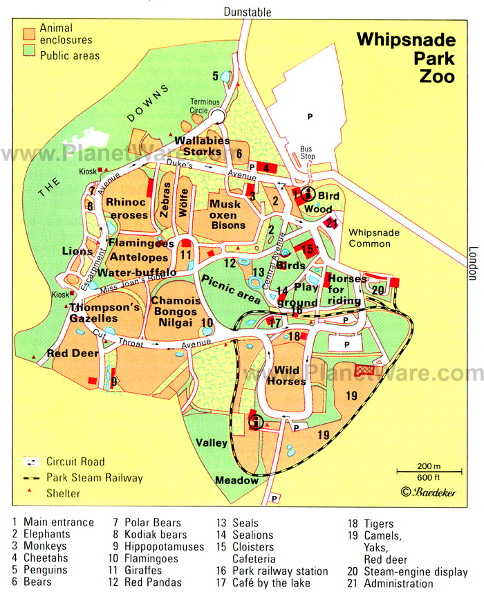 oldwhipsnade-park-zoo-map