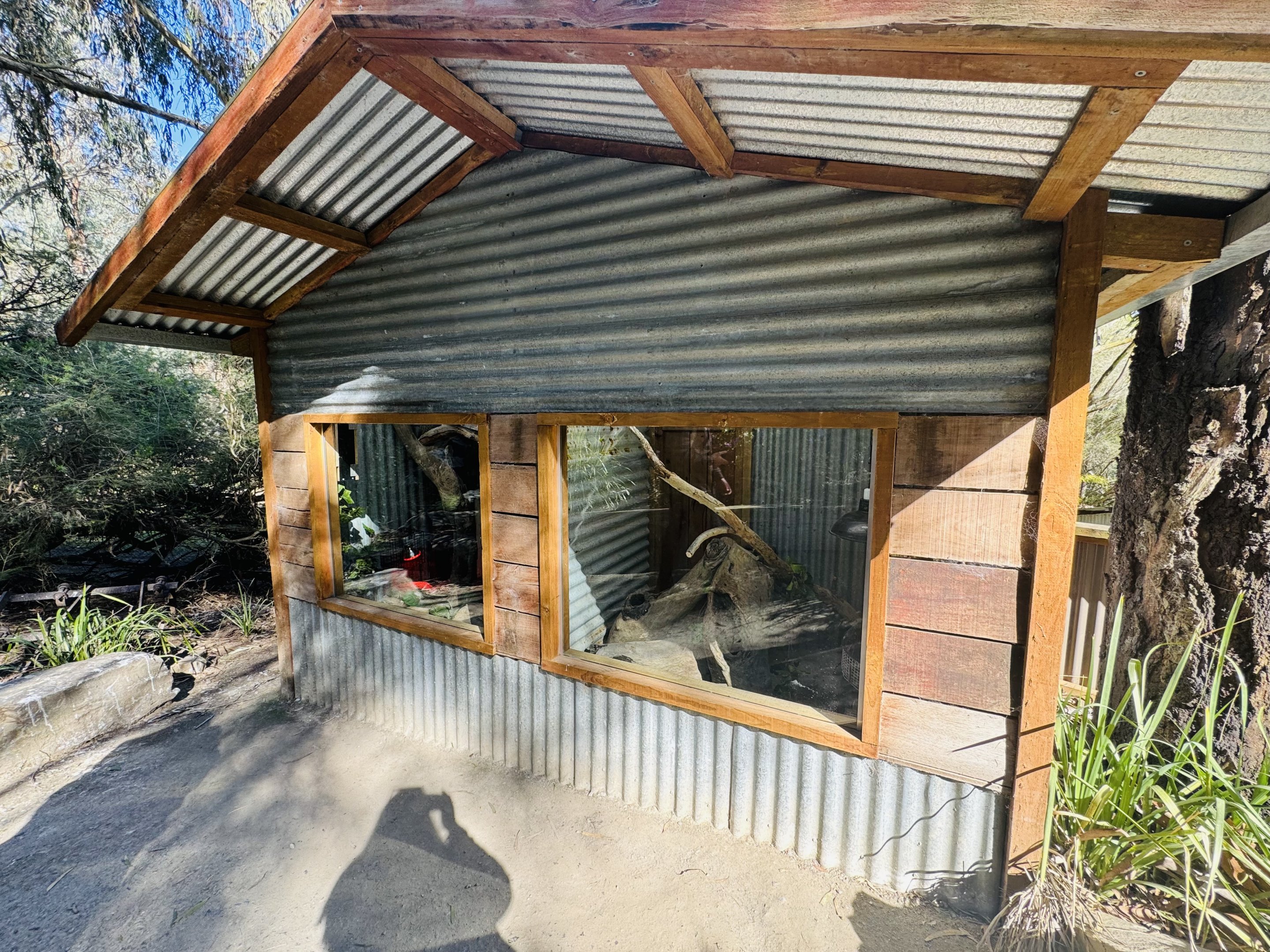 Olive and scrub python enclosures