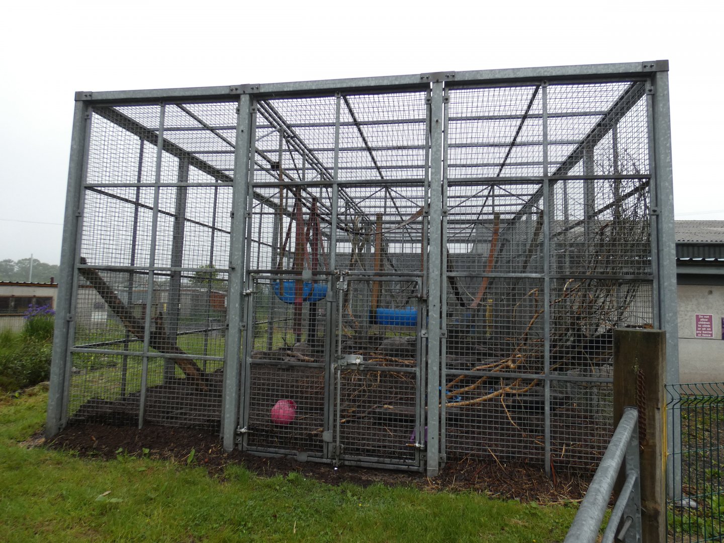 Olive baboon enclosure